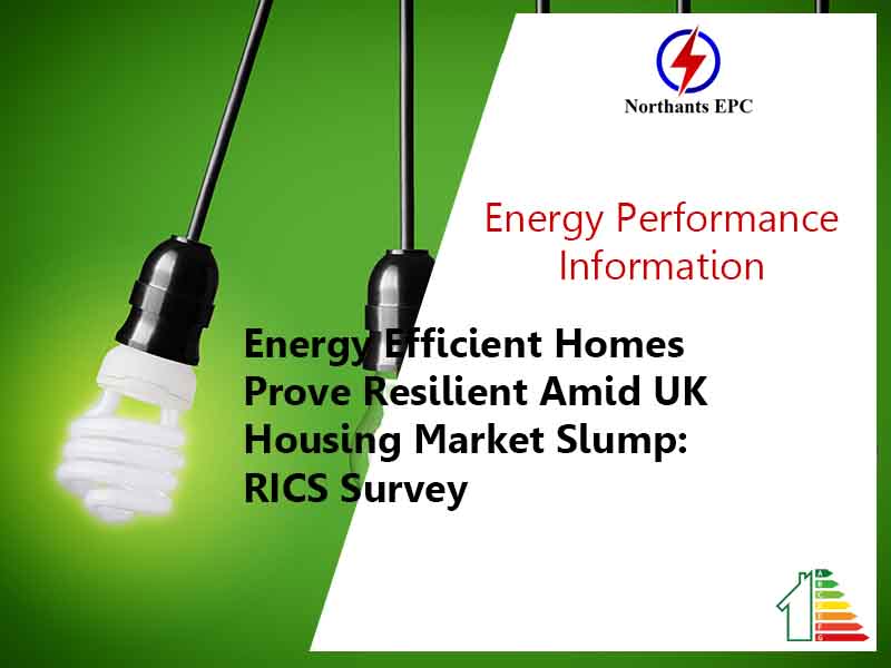 Energy Efficient Homes Prove Resilient Amid UK Housing Market Slump RICS Survey