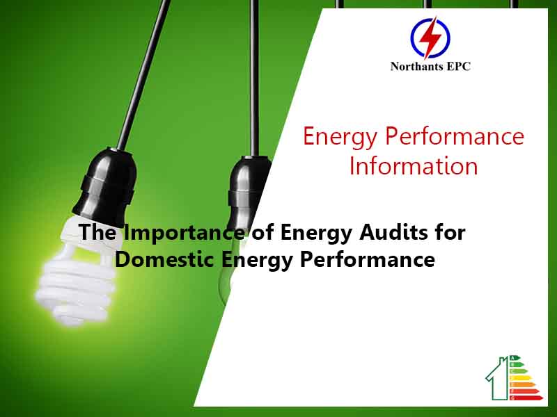The Importance of Energy Audits for Domestic Energy Performance